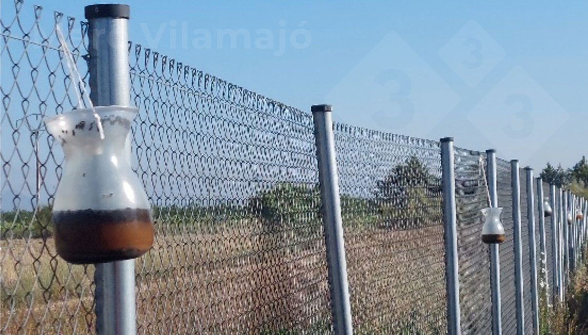 <p>Photo 2: Multi-catch traps for adult flies located on the perimeter fence.</p>